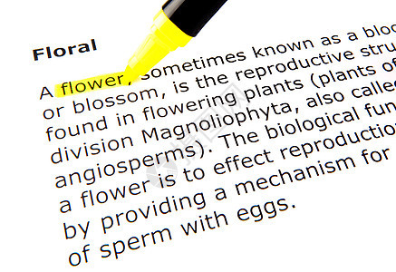 花层黄色宏观毛毡训练学习知识打字稿水平字典教育图片