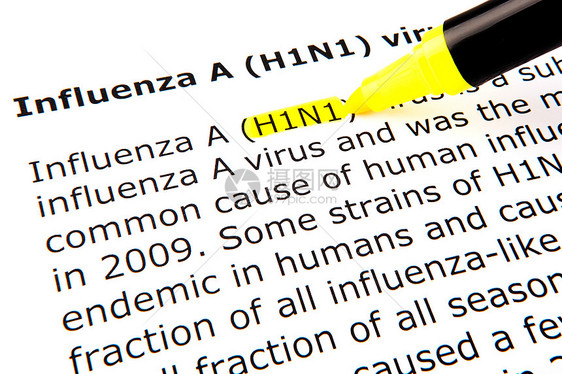 甲型流感病毒H1N1手册打印打字稿学习荧光笔教科书文档宏观教学水平图片