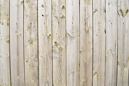 Wood 纹理背景图案地面木头样本家具木匠松树硬木橡木木材木板图片