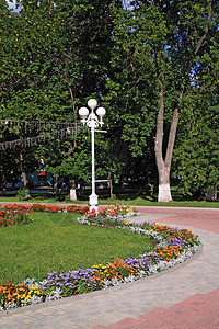 夏季镇公园花卉图片