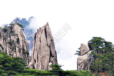 晨雾中的落岩山石头植物自然森林岩石荒野顶峰旅行悬崖山峰图片