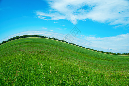 性质背景阴霾草地蓝色小丘场地阳光绿色植物亮度土地环境图片