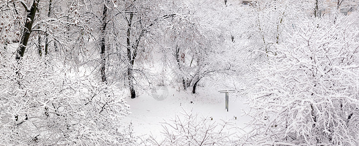 白雪落在木头上图片