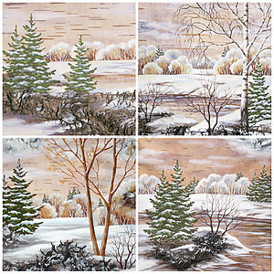 风景 树皮上脱色桦木寒冷木头空地荒野季节国家绘画手工业雪堆图片