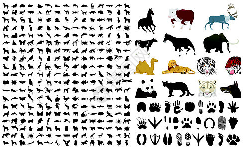 收集动物的轮廓2图片