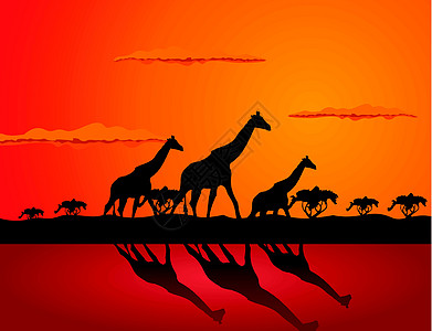 吉拉菲插图荒野阴影天空团体植物群衬套动物群黑色哺乳动物图片
