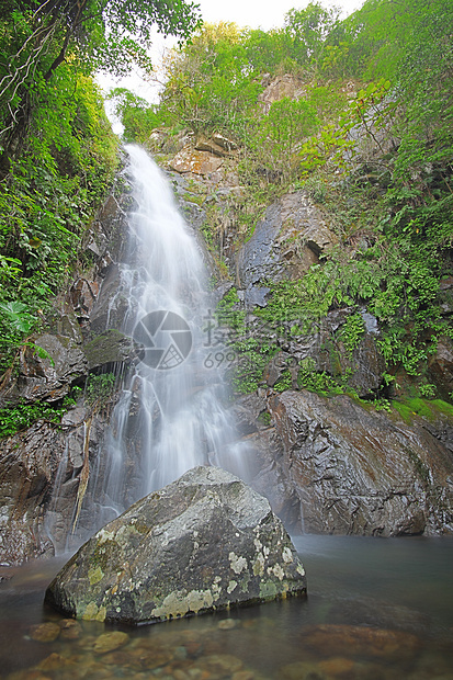 深森林中的瓦塔速度叶子美丽旅行水景植物衬套瀑布液体岩石图片