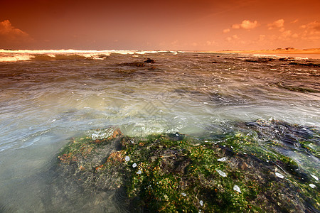 珊瑚礁支撑天空石头蓝色热带海岸线海景岩石情调海岸图片