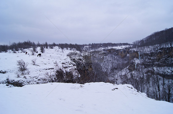 高加索自然保护区壮丽的山地风景图蓝色山脉旅行森林地形土地爬坡荒野天空草地图片