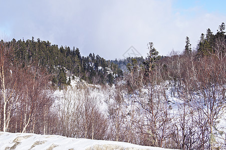 高加索山脉地形阳光山脉全景土地森林荒野草地树木冰川图片