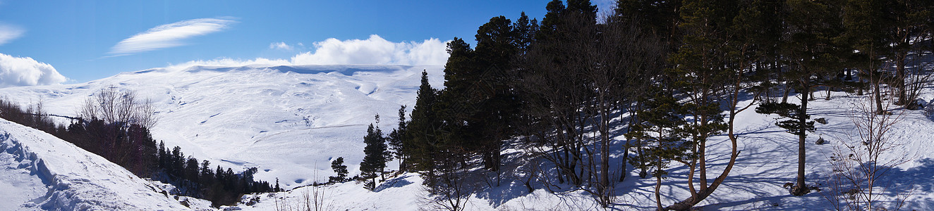 高加索山脉树木冰川阳光地形山峰山脉高山蓝色旅行全景图片