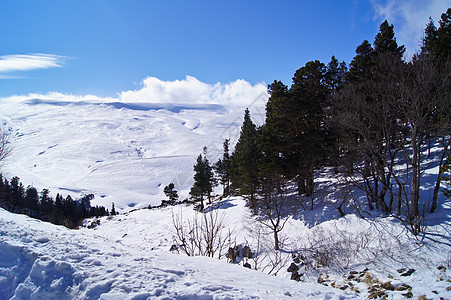 高加索自然保护区壮丽的山地风景图森林阳光山脉石头全景草地峡谷旅行荒野冰川图片