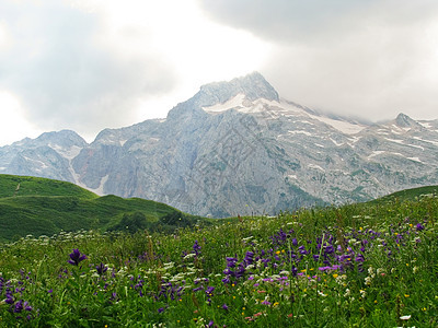 高加索自然保护区壮丽的山地风景图山脉峡谷蓝色树木阳光森林高度荒野旅行石头图片