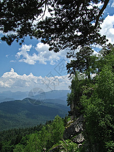 高加索自然保护区壮丽的山地风景图草地石头树木旅行阳光荒野地形峡谷岩石爬坡图片