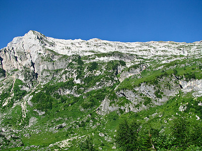 高加索自然保护区壮丽的山地风景图阳光草地树木蓝色土地冰川山峰高山峡谷石头图片