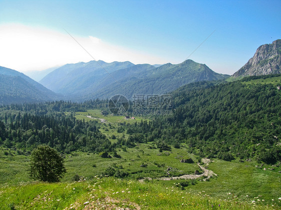 高加索山脉阳光草地山峰土地森林高山高度荒野蓝色冰川图片