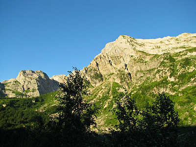 高加索自然保护区壮丽的山地风景图森林荒野岩石土地高度冰川爬坡山脉高山阳光图片