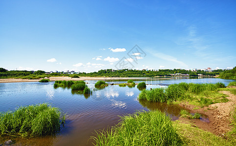 平静河树叶生态荒野蓝色公园森林草原照片景观旅行高清图片