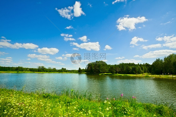 夏季风景晴天场地阳光太阳场景反射三叶草天空森林农村图片