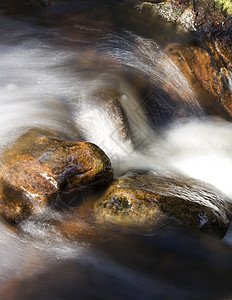 流动水国际田园中叉烟熏风光溪流森林季节河岩生物图片