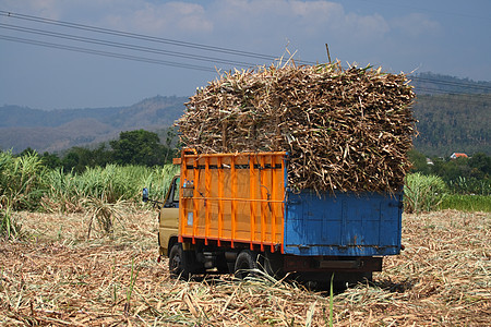 甘蔗运输卡车场地车轮旅行路线司机货物轮胎驾驶加工图片