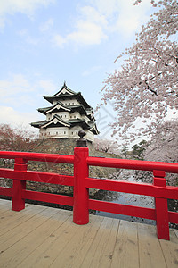 全盛开的樱花花和日本城堡蓝色公园花朵天空樱花花园晴天粉色图片