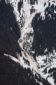 滑坡和雪崩首脑冒险荒野旅行寒意树木顶峰登山远足运动图片