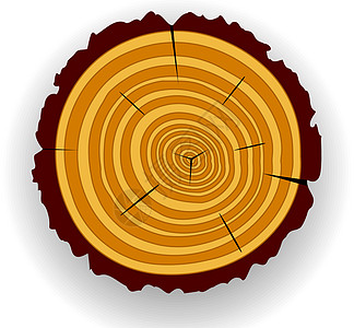木制切割森林生活插图同心阴影木头戒指日志时间材料图片