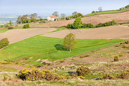北约摩尔国家公园 英格兰北约克郡乡村牧草位置衬套外观沼泽植被农村旅行草地图片