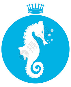 海马热带野生动物绘画水族馆世界遗产插图动物学外套海洋图片