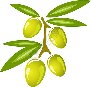 Stylized 橄榄树枝符号 图标孤立矢量插图食物标识绘画程式化艺术数字植物白色黑色植物人图片