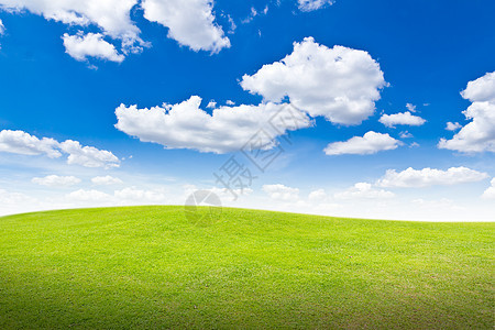草地对蓝天地面场景生长植物场地绿色蓝色农场天空草本植物图片