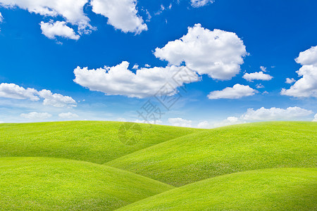 草地对蓝天农场场景土地绿色蓝色季节植物天空草本植物场地图片