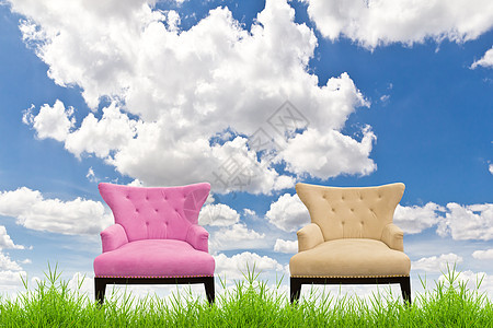 粉红沙发和奶油沙发 在蓝天空的青草上图片