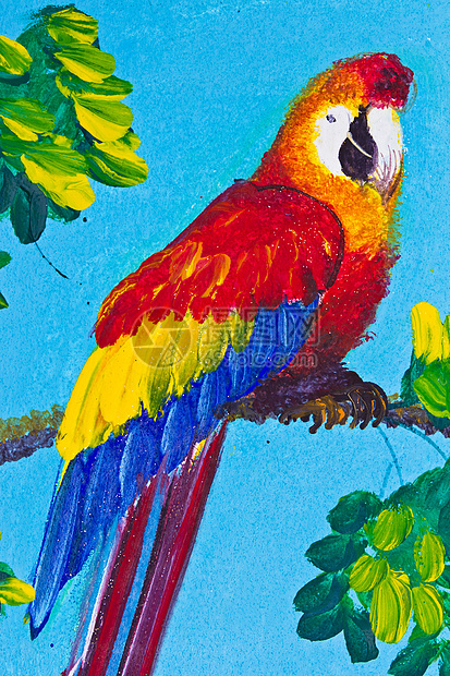 彩画红色金刚鹦鹉的海报颜色绿色工作室鹦鹉刷子黄色帆布艺术插图白色孩子图片