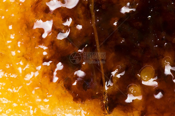 法国甜点     奶油布丁 烧焦霜模子香草食物刀具美食焦糖餐厅糕点盘子勺子图片