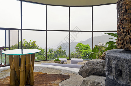 客厅胜地植物玻璃窗桌子家具沙发椅子图片
