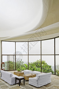 客厅玻璃窗植物家具沙发桌子胜地椅子图片