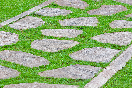 绿草的石头路石头生长植物装饰叶子绿色环境公园风格小路图片