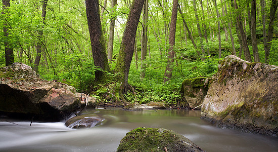 河流中的石头木头瀑布森林季节岩石公园荒野溪流绿色叶子图片
