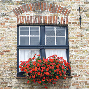 窗户有红花的旧建筑图片