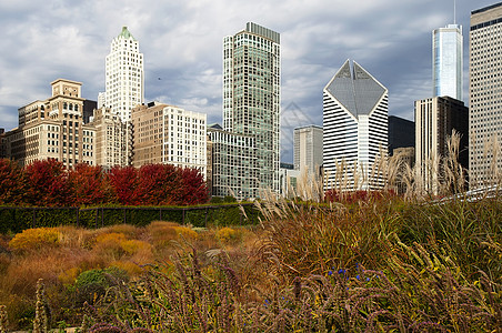 芝加哥秋天的摩天大楼图片