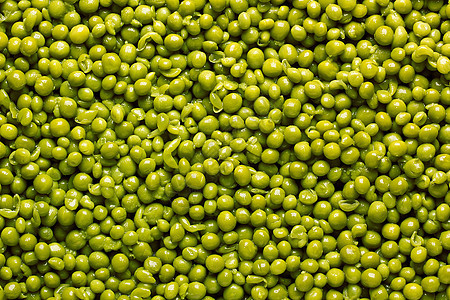 绿色青豆烹饪食物种子营养罐装框架养分小吃农业美食图片