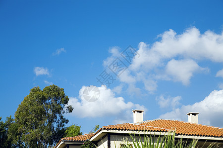 树木和瓷砖屋顶图片