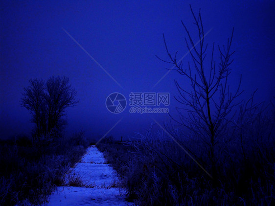 冬夜漫步图片