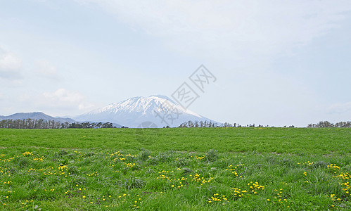 草原和伊瓦特山太阳季节场地天空草地绿色蓝色阳光图片