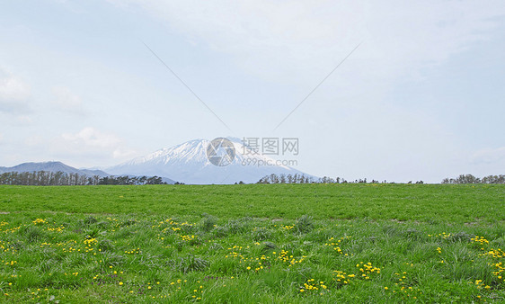 草原和伊瓦特山太阳季节场地天空草地绿色蓝色阳光图片