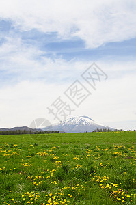 草原和伊瓦特山蓝色绿色太阳场地季节阳光草地天空图片