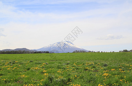 草原和伊瓦特山天空草地太阳季节绿色阳光场地蓝色图片