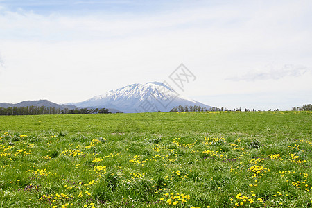 草原和伊瓦特山阳光天空绿色蓝色草地场地季节太阳图片